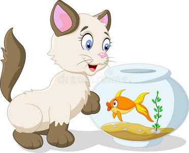 鱼和猫卡通猫和鱼照片