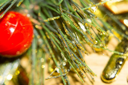 冬天 小玩意 松木 艺术 传统 圣诞节 新的 季节 分支