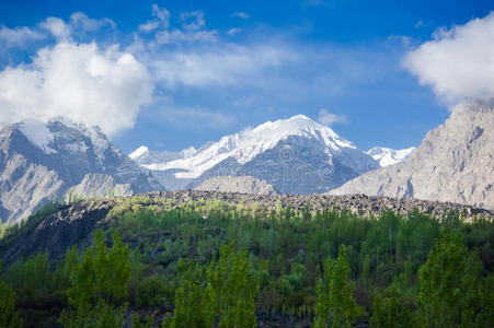 地平线 森林 气候 体育课 地球 秋天 喜马拉雅山脉 小山