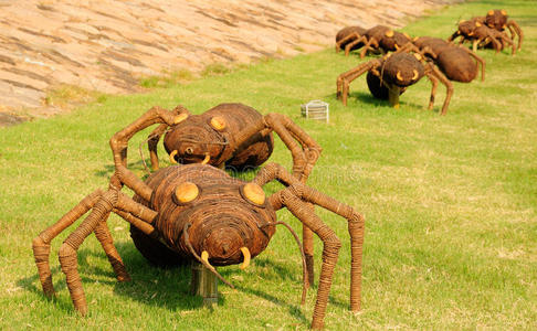 上海辰山植物园巨大的蚂蚁照片