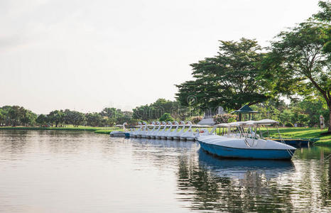 夏天 小孩 鸭子 运动 自然 旅行者 池塘 娱乐 城市 假期