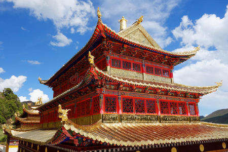 藏金蔡少芬藏兰木寺金宫照片