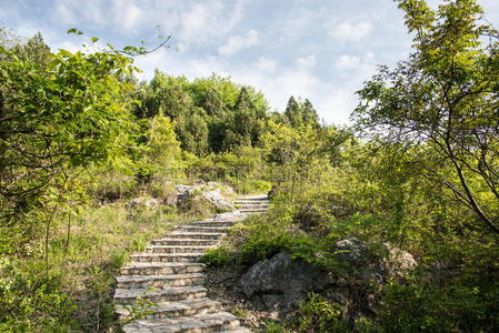 山间小道