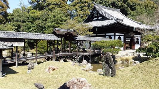 池塘 宗教 佛陀 寺庙 领域 传统 圣地 舷梯 天空 信仰