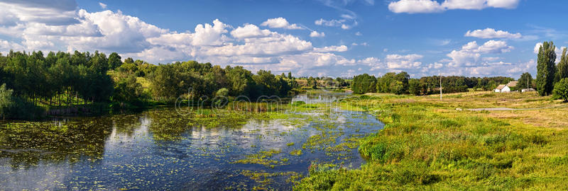 乡村 地球 沼泽 公司 反射 美女 自然 池塘 植物 植物区系