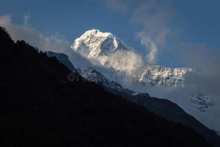 全景图 春天 公园 场景 风景 喜马拉雅山脉 范围 尼泊尔