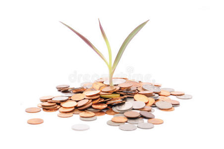 硬币散落在婴儿幼苗的底部-有利可图照片