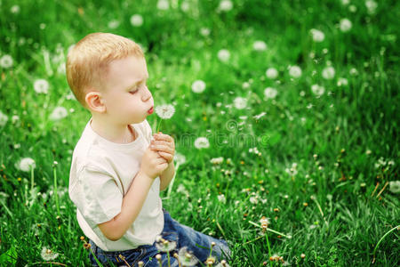 可爱的小男孩在绿色的春天草地上吹蒲公英
