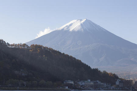 吸引力 围绕 风景 银杏 傍晚 秋天 农场 早晨 日本人