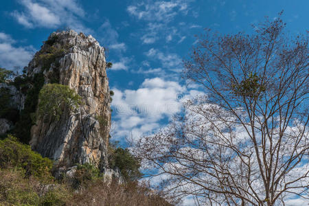 季节 森林 天空 分支 泰国 植物 木材 郁郁葱葱 环境