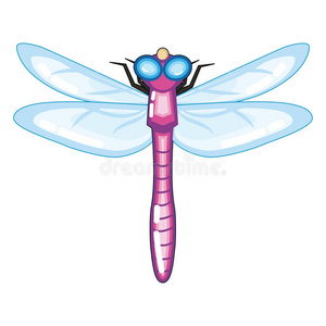 可爱的紫色蜻蜓，有蓝色的翅膀