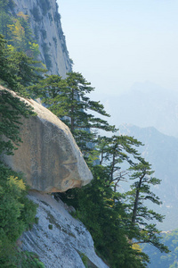 悬崖 松木 陡崖 石头 风景 危险的 悬崖峭壁 危险 岩石