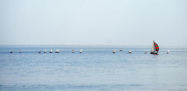 风景 爱好 自然 划船 比赛 海洋 船长 航行 水手 海岸线