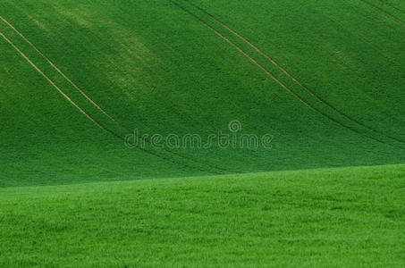 青草田背景