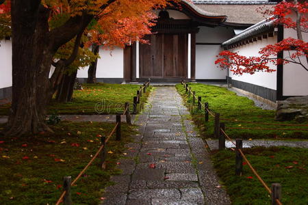 秋天 寺庙 通路 枫树 建筑 日本 建筑学 京都 直的 落下