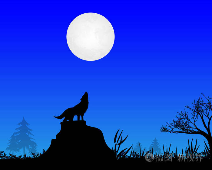 在月亮的夜晚,一只狼嚎叫着月亮