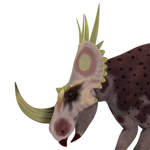 北美鸟类龙是白垩纪时期生活在北美的一种食草动物尾蛇恐龙.照片