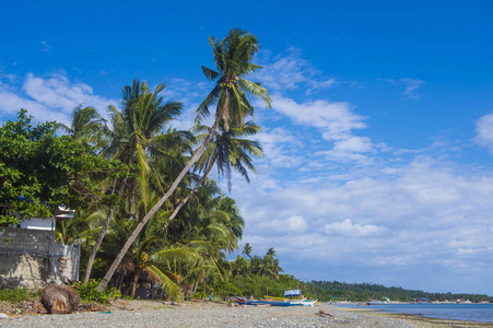 菲律宾马林迪克岛的热带海滩图片