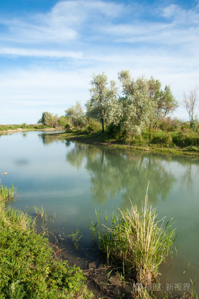 草原河芦苇夏季。 河景中的景色。 晴天的蓝色小河