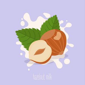 台湾释迦果榛子牛奶矢量插图照片