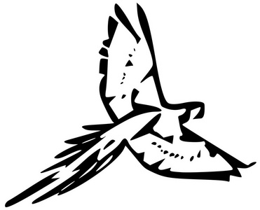 鸟鹦鹉黑色轮廓矢量照片