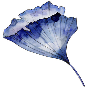 银杏叶以水彩风格孤立. 背景纹理包装图案框架或边框用水纹叶.照片