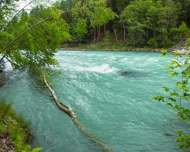 一条湍急的河流,河水清澈,水色清澈,周围是绿色的落叶林和弯曲的树木