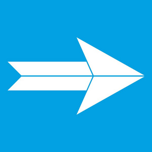 大箭头图标白色照片