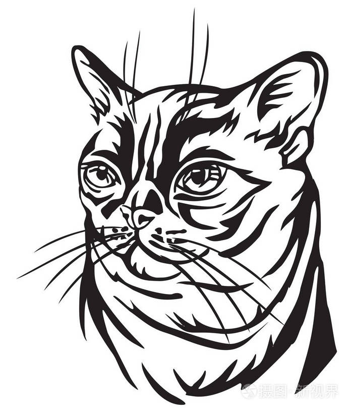 缅甸猫矢量轮廓中的装饰肖像,白色背景上黑色孤立插图插画-正版商用