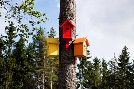 鸟房子标志图片