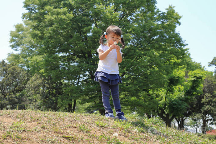 日本女孩在蓝天下吹蒲公英种子3岁