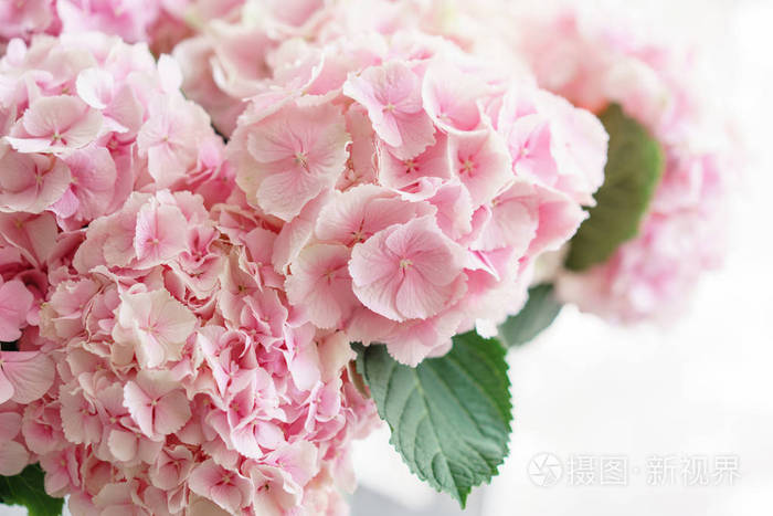 美丽的绣球花在桌子上的花瓶里.浅蓝色 丁香花和粉红色的花束.
