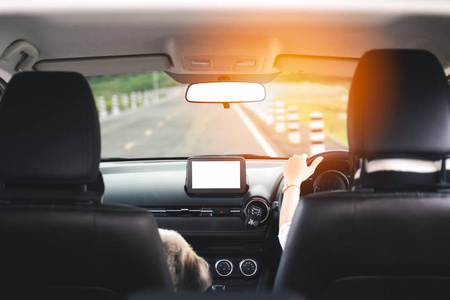 女司机把手放在方向盘上. 旅行的道路旅行和假期与宠物. 自由照片