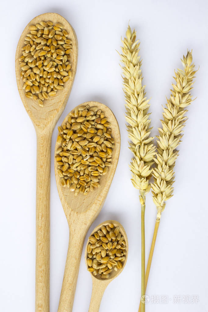 木制勺子里的麦粒. 小麦的枝条. 白色背景. 顶部视图
