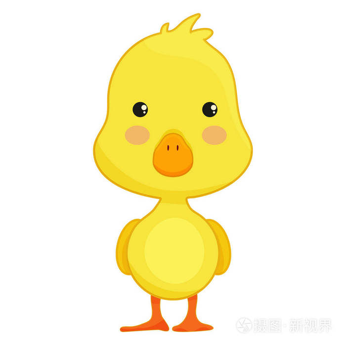 可爱的鸭子卡通在白色背景下隔离