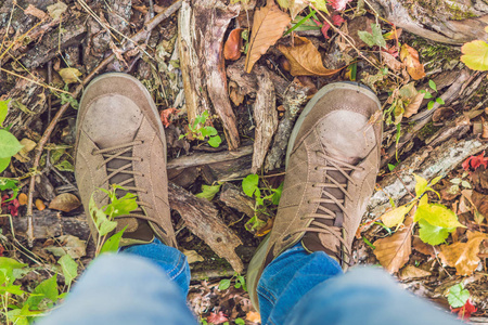 生活方式季节图片