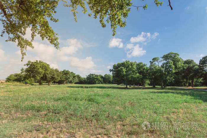 修剪整齐的草坪,高大的树木在初春的早晨被阳光照亮.