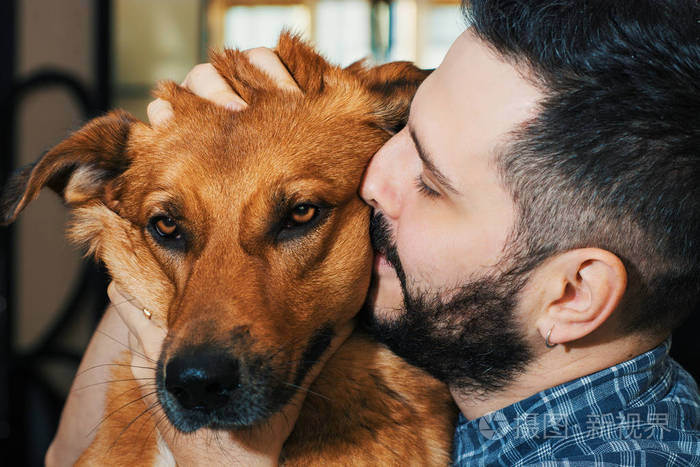 一个英俊的男人拥抱他可爱的金色红色狗的肖像