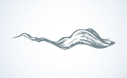 大危险平电魔鬼鲨鱼在白色背景.