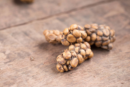 麝香猫咖啡,麝香,黄鼠狼咖啡kopi 麝香猫咖啡作为生产和出售在巴厘岛