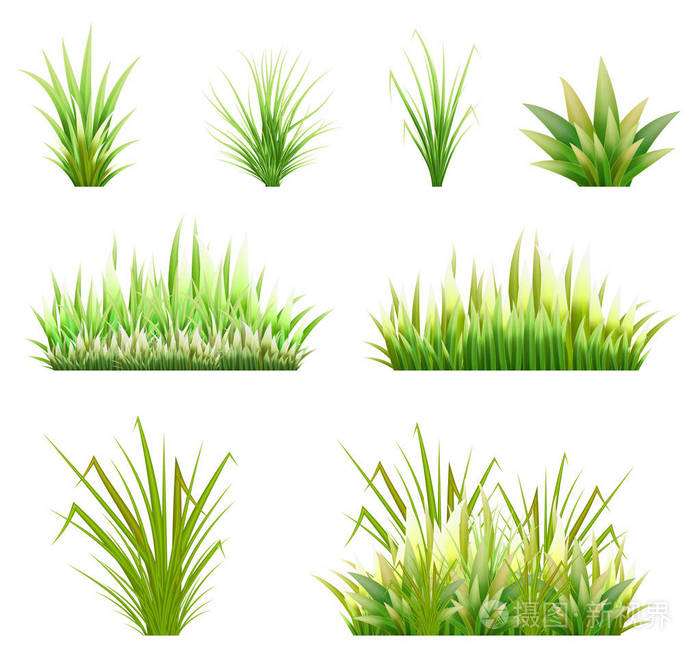 草地或花园里春天的芽和杂草的插图. 股票向量