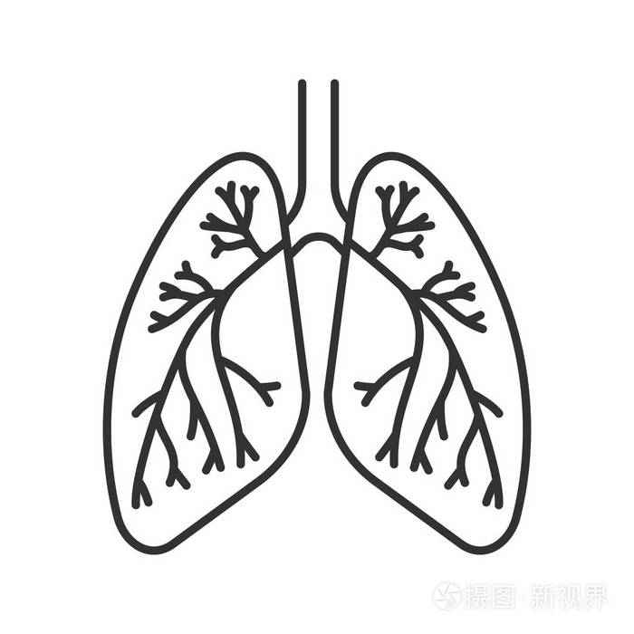 呼吸系统简笔画 卡通图片