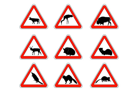 三江源保护区道路标志小心,动物,公园,保护区和其他保护区的标志照片