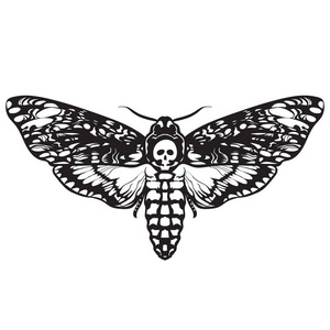 骷髅蛾蝴蝶设计纹身t恤打印海报着色书.照片