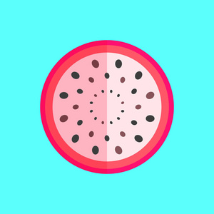 单龙银元火龙果或火龙果切片矢量在简单的极简主义艺术风格照片