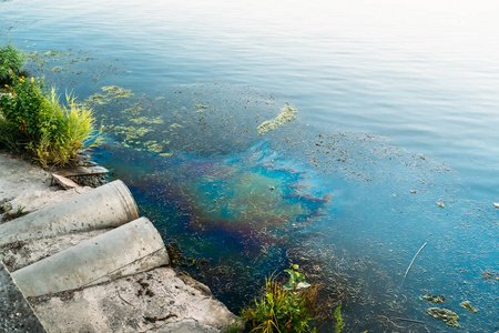 岸上的下水道管道, 水面上的油或燃料的污点, 有毒化学品的自然污染