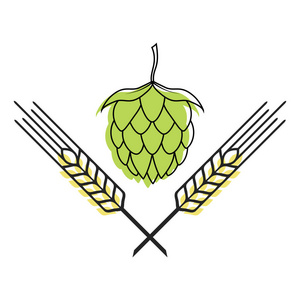 啤酒花和大麦图片