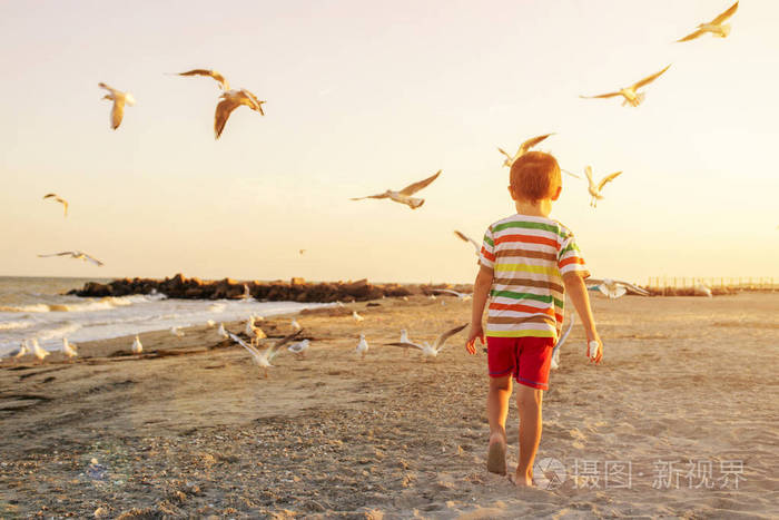 在橙色日落和飞翔的海鸥的背景下在海滩上奔跑的孩子