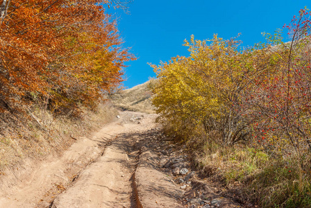 崎岖不平的土路景观,杜米芝克里米亚半岛照片