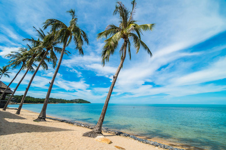 美丽的热带海滩,大海和沙滩,蓝天和白云上有椰子棕榈树,供旅行和度假